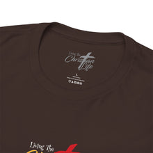 Load image into Gallery viewer, "All My Role Models Went to Prison" Vintage Faith Tee