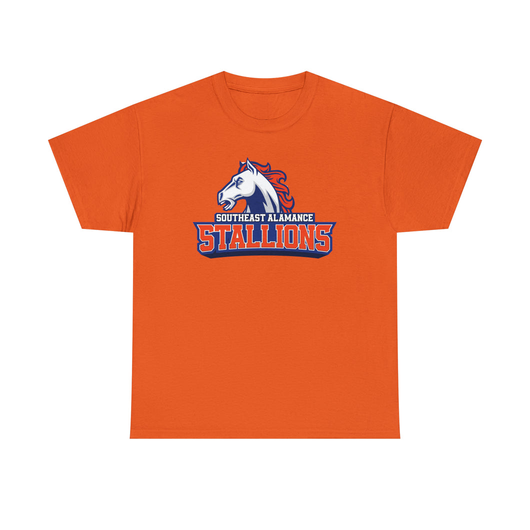 SE Alamance Stallions - orange